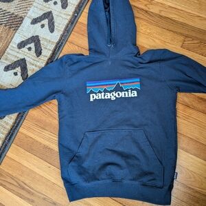 Patagonia Deep Blue Regular Fit Hoodie